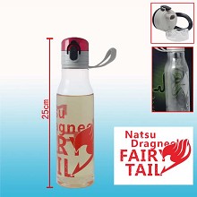 Fairy Tail kettle