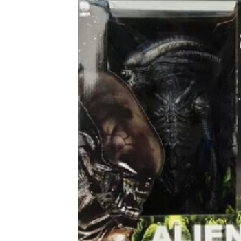 18inches Alien vs Predator figure