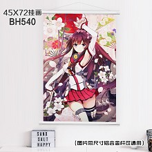 Collection anime wallsroll(45X72)