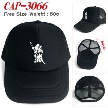 CAP-3066