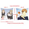 Natsume Yuujinchou Double sides pillw