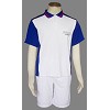 The prince of tennis cosplay dress/cloth