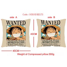 One piece double sides pillow