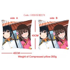 Axis Powers Hetalia double sides pillow