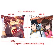 Axis Powers Hetalia double sides pillow