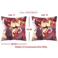 Axis Powers Hetalia double sides pillow