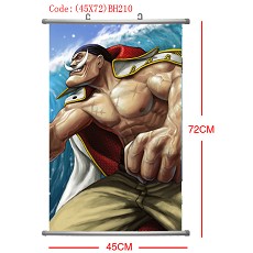 One piece wallscroll(45X72CM)