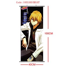 Reborn wallscroll(40x100CM)