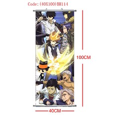 Reborn wallscroll(40x100CM)