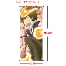 Reborn wallscroll(40x100CM)