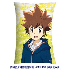 Reborn pillow(40X60CM)