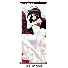 Shakugan no shana wallscroll(40*102cm)