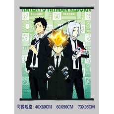 Reborn wallscroll