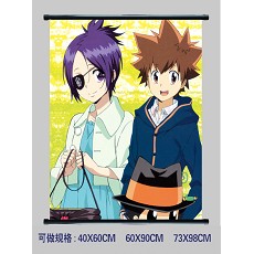 Reborn wallscroll