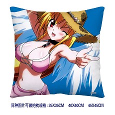 Sora no otoshimono double sides pillow