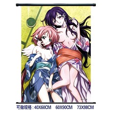 Sora no otoshimono wallscroll