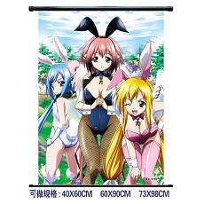 Sora no otoshimono wallscroll