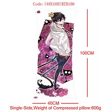 Ao no exorcist pillow(40X100CM)