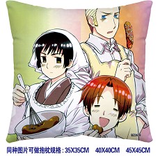 Axis Powers Hetalia double sides pillow BZ2674