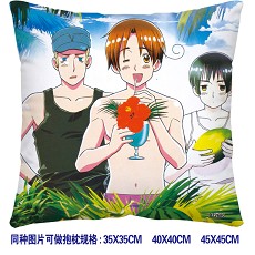 Axis Powers Hetalia double sides pillow BZ2680