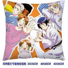 Axis Powers Hetalia double sides pillow BZ2690