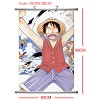 One piece wallscroll(60x90CM)