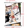 One piece wallscroll(60x90CM)