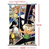 One piece wallscroll(45X72CM)