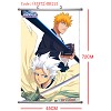 Bleach wallscroll(45X72CM)