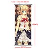 Fate stay night wallscroll(40x100CM)