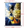 Dragon ball wallscroll(60x90CM)