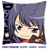 Reborn double siedes pillow