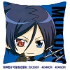 Reborn double siedes pillow