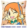 One piece double siedes pillow