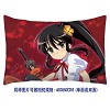 Shana pillow(40X60CM)