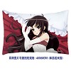 Shana pillow(40X60CM)