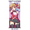 Sword Art Online wallscroll(40*102cm)