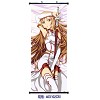 Sword Art Online wallscroll(40*102cm)