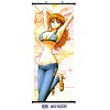 One piece wallscroll(40*102cm)