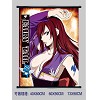 Fariy tail wallscroll