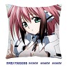 Sora no otoshimono double sides pillow