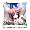 Sora no otoshimono double sides pillow