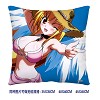 Sora no otoshimono double sides pillow