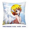 Sora no otoshimono double sides pillow