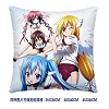 Sora no otoshimono double sides pillow