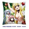 Sora no otoshimono double sides pillow