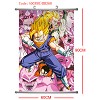 Dragon ball wallscroll(60X90CM)