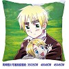 Axis Powers Hetalia double sides pillow BZ2672