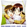 Axis Powers Hetalia double sides pillow BZ2673