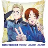 Axis Powers Hetalia double sides pillow BZ2677